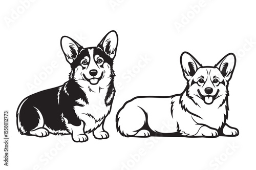Vector of two adorable Welsh Corgi dogs, one black and white, the other tri-color, sitting and lying down with happy expressions.