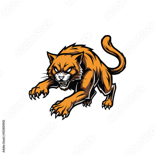 tiger on a white background