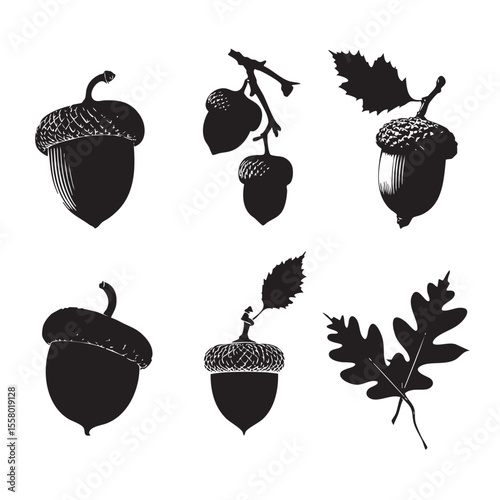 acorn silhouette set, Black & White silhouette set