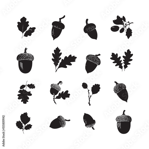 acorn silhouette set, Black & White silhouette set