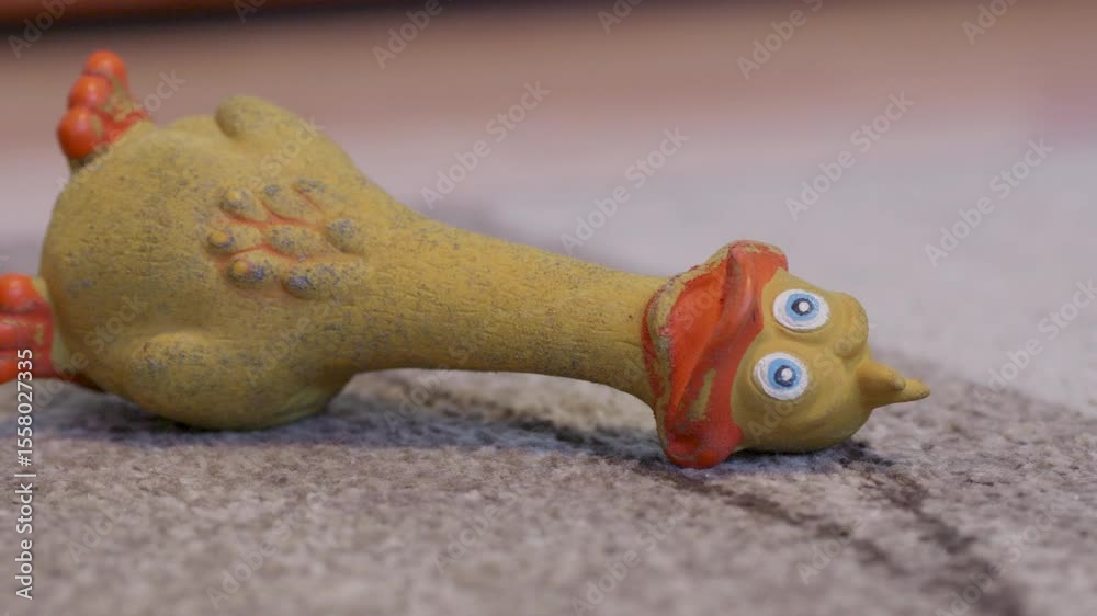 Dog toy rubber duck on carpet