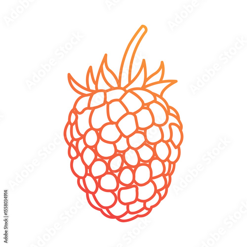 Raspberry Icon