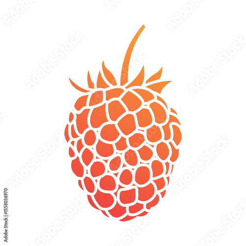 Raspberry Icon