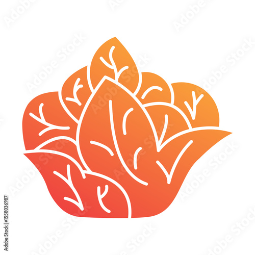 Cauliflower Icon