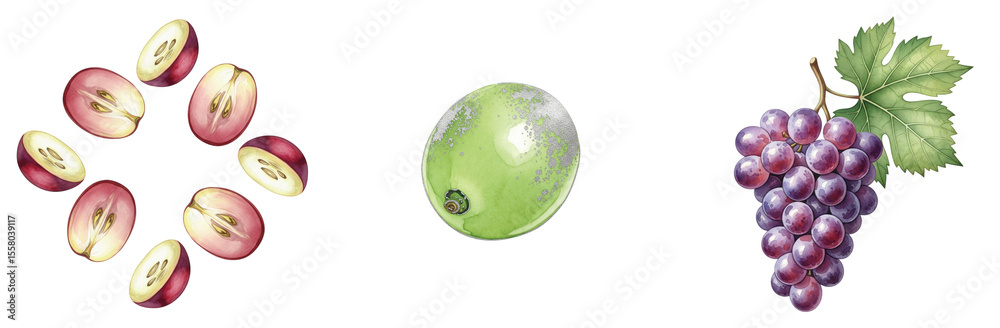 Fototapeta premium Exquisite watercolor illustration featuring beautifully cut purple grape halves arranged decoratively, a single green grape, and a vibrant bunch of red grapes with a leaf, perfect for healthy concepts