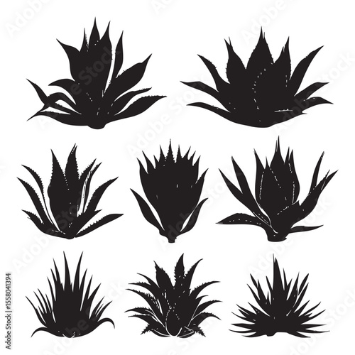 agave silhouette set, Black & White silhouette set