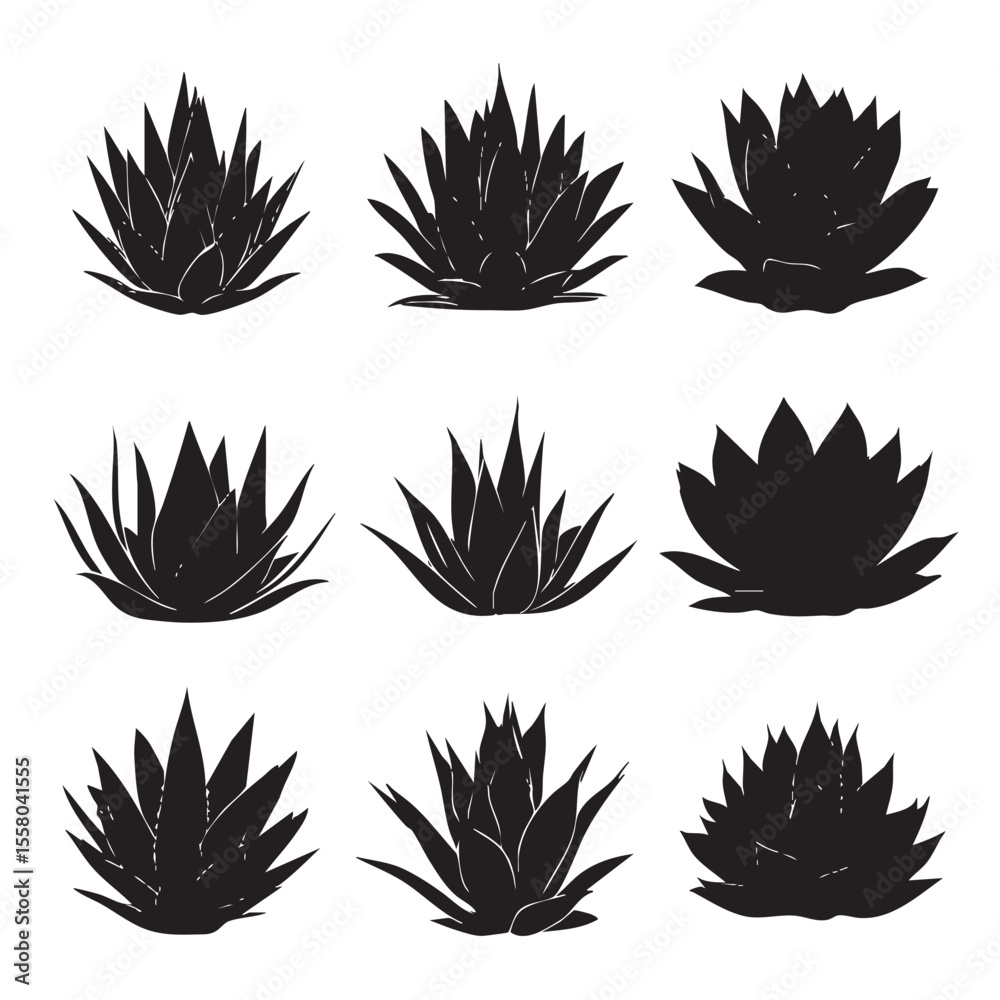Fototapeta premium agave silhouette set, Black & White silhouette set