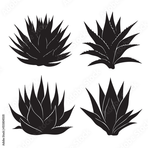 agave silhouette set, Black & White silhouette set