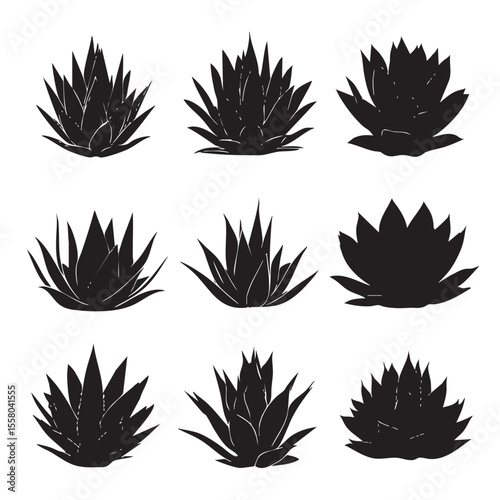 agave silhouette set, Black & White silhouette set