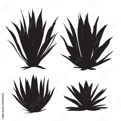 agave silhouette set, Black & White silhouette set