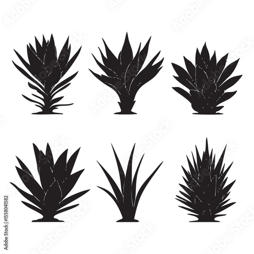 agave silhouette set, Black & White silhouette set