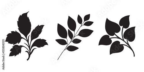 Natural Leaf Silhouette 