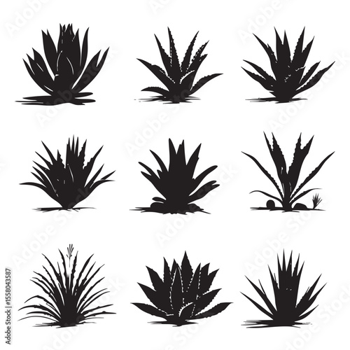 agave silhouette set, Black & White silhouette set