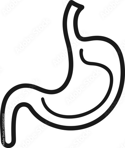 Human Stomach Outline vector illustration on white background