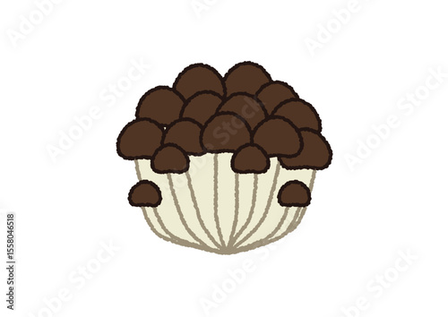 ぶなしめじのイラスト