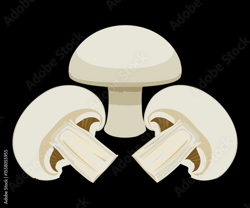 Delicious Fungi Rounds Piled Neatly - Vector Illustration