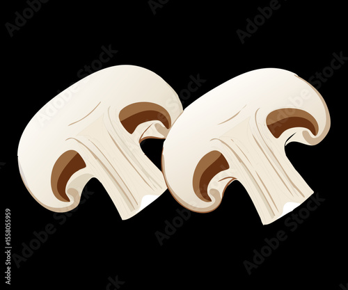 Multiple Fresh Mushroom Slices White - Vector Illustration