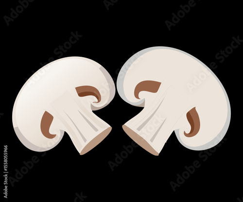 Two Fresh Mushroom Slices White - Vector Illustration