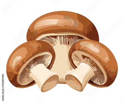 Group of Fresh Brown Cap Mushrooms - Vector Illustration