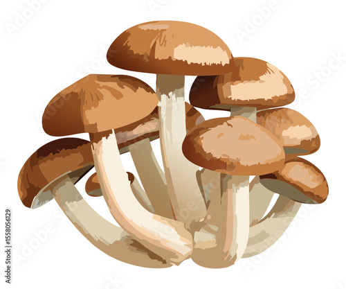 Cluster of Fresh Forest Mushrooms - Vector Illustration