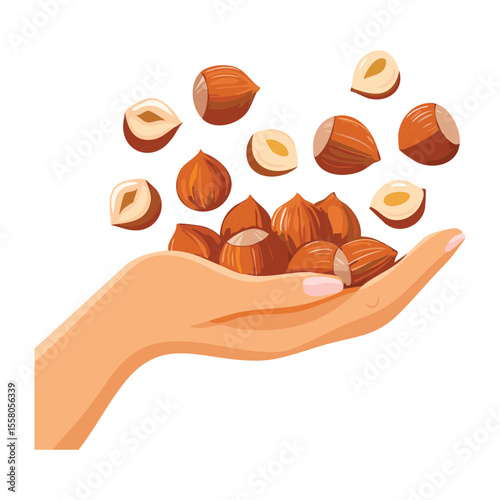 Hand Dropping Fresh Brown Chestnuts - Vector Illustration