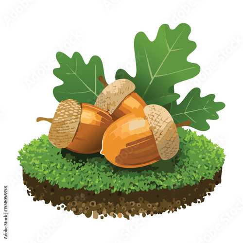 Acorns with Leaves on Grassy Ground - Vector Illustration