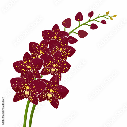 velvet orchid quill with deep burgundy blooms and textured sweeping plume details