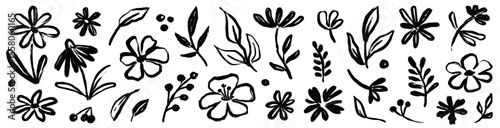 Flower brush hand drawn vector set. Hand drawn doodle flower, floral leaf elements in brush stroke ink style. Simple abstract botanical silhouette set for nature black paint art. Vector illustration
