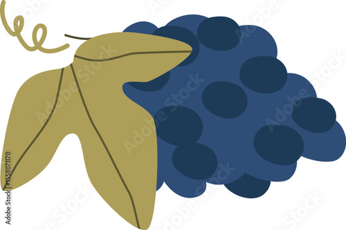 Bunch of ripe grapes vector illustration