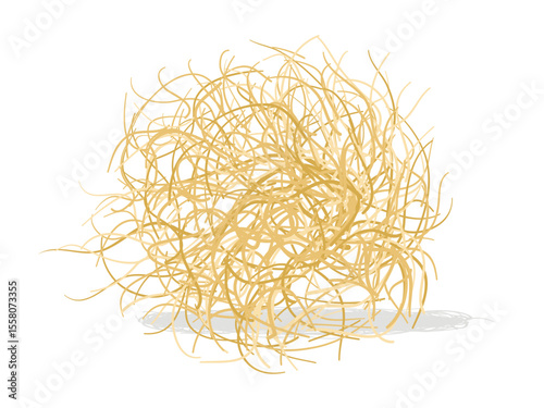 Desert Dry Bush Tumble Weed, Western rolling stem from dead plant