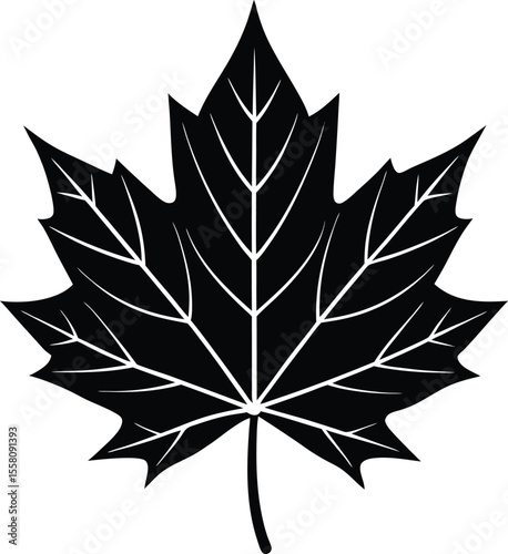 Maple Leaf Silhouette Vector with Jagged Autumn Edges