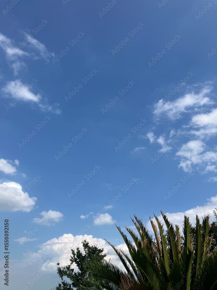 Obraz premium Blue sky view青空
