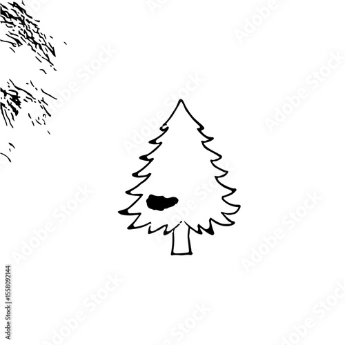 Vector illustration of a not too big spruce tree
