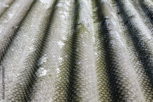 Fragment of old roof with wavy asbestos cement roof tile, Full frame shot of patterned textile.Frozen roof with moss and leaves