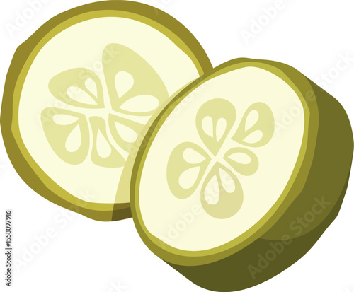 Slices of zucchini vegetable vector illustration