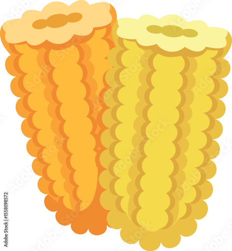 Sweet corn cobs vector illustration