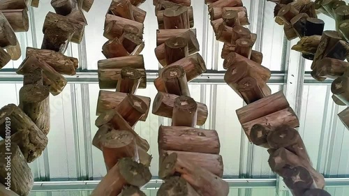 A decorative curtain made from dried tree branches, artistically arranged to create a natural and rustic look. This handmade piece adds a touch of organic charm and earthy texture to any space.