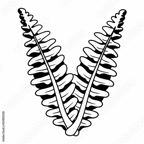 Artistic black and white illustration of two fern fronds facing each other with transparency for versatile design applications