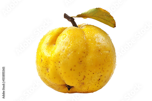 Quince fruit isolated on transparent background