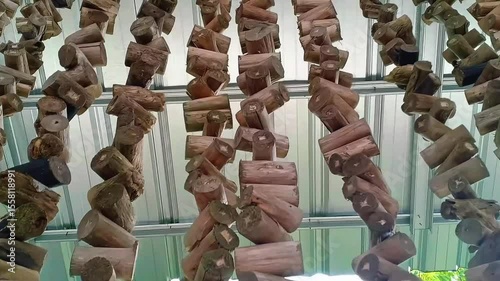 A decorative curtain made from dried tree branches, artistically arranged to create a natural and rustic look. This handmade piece adds a touch of organic charm and earthy texture to any space.