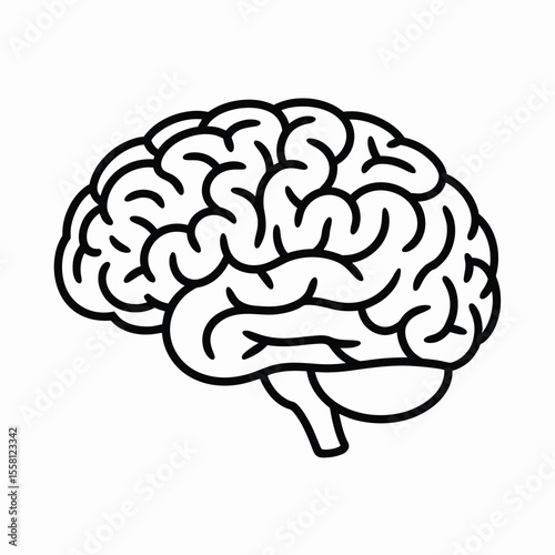 Human Brain Anatomy Outline Icon