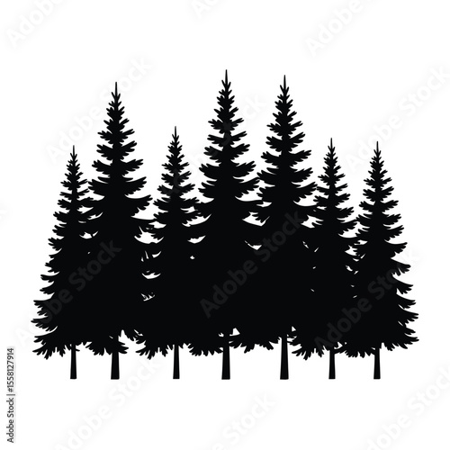 Pine Trees Silhouette Graphic
