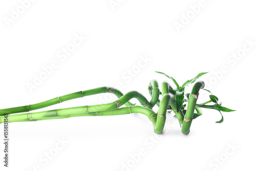 Green bamboo stems on white...
