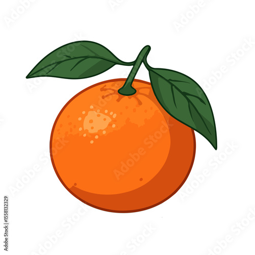 vector illustration of mandarin fruit