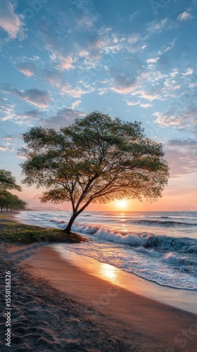 Sunrise over beach with lone tree