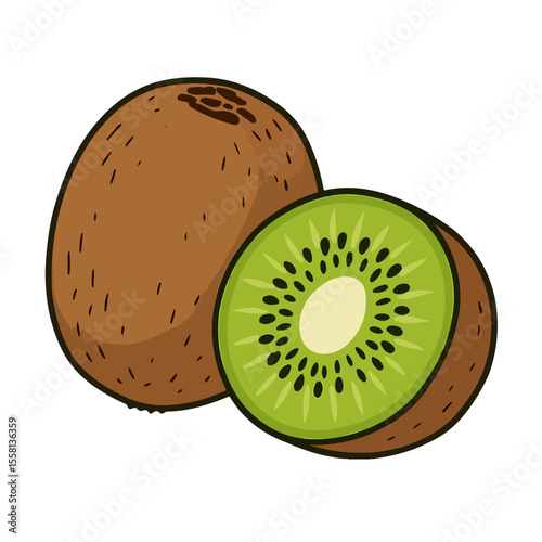 kiwi fruit vector illustration
