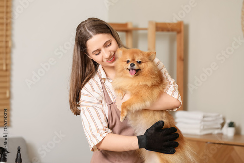 Female groomer brushing Pom...