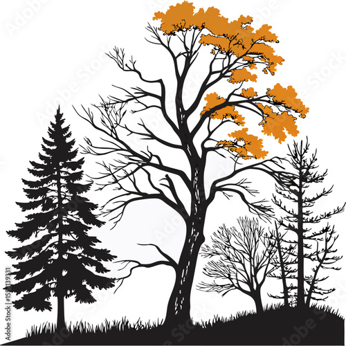 Silhouette of various trees including a pine tree and a deciduous tree with orange leaves in autumn season