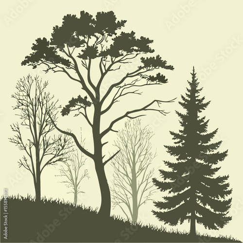 Silhouette of various trees including deciduous and evergreen on a grassy hill against a light background