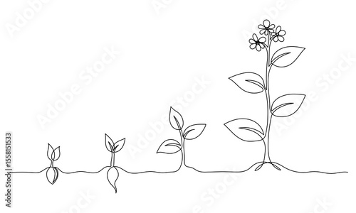 Continuous one line drawing of growing plant stages. Seeds sprouting in the ground. Garden plant seedlings, sprouts. Single line drawing vector graphic illustration Editable stroke